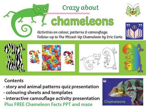 crazy chameleons|chameleon camouflage facts.